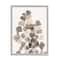 Stupell Industries Modern Ginkgo Leaf Arrangement Translucent Brown Grey Leaves Framed Wall Art
